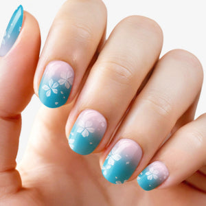 Cherry Blossom