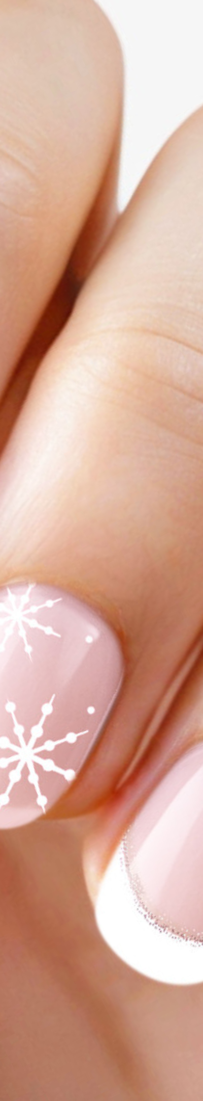 455-PinkFrost.png