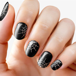 Midnight Spider