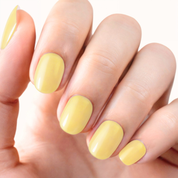 Lemon Sherbet