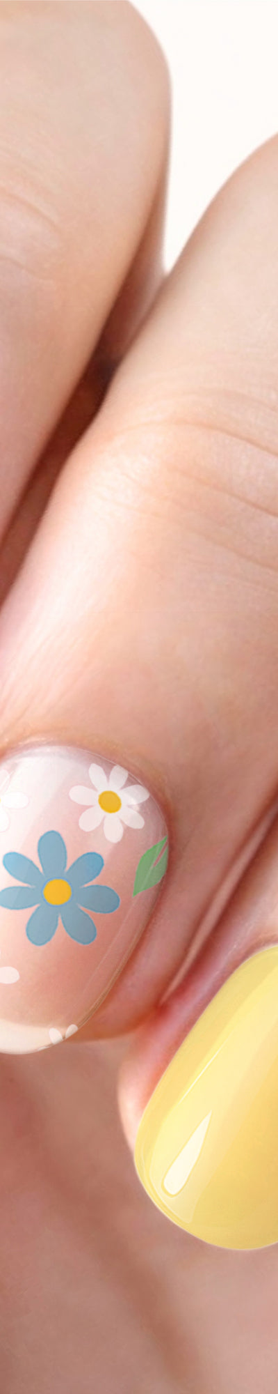 718-SunnyDaisies_Modified.jpg