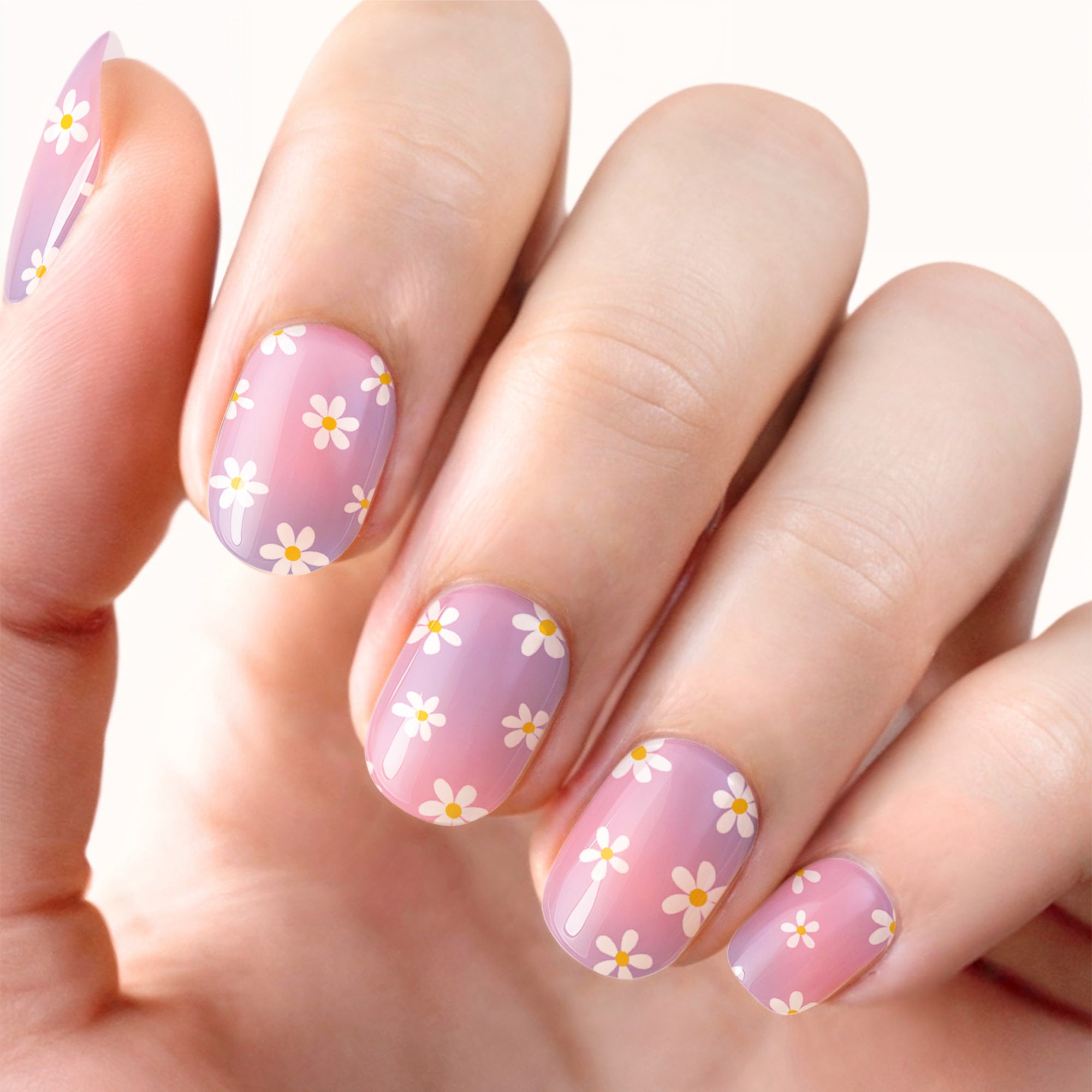 751-DaisyFields_Raedy.jpg